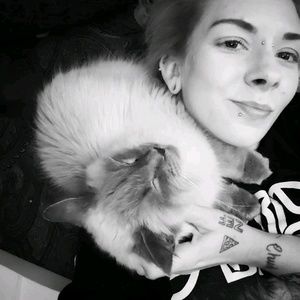 Meet your Posher, Alli